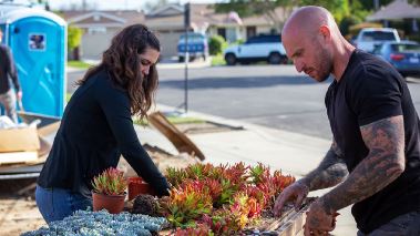 Zwischen Haus und Hecke