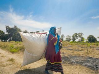 Gute Nachrichten vom Planeten