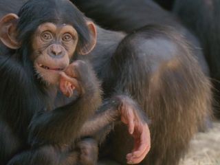 Zoo und so - Tierisch wild!