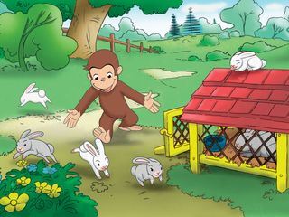 Coco, der neugierige Affe