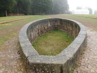 Die Druiden - Geheimnisvolle Priester der Kelten