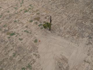 Bloodline Detectives - Die DNA der Taeter