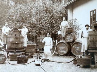 Habsburgs Hoflieferanten Josef (1/3)