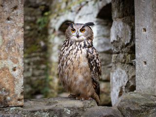 Maerchenhaftes Tschechien