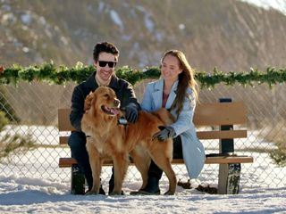 Max - Meine Weihnachtshilfe auf vier Pfoten Max - Meine Weihnachtshilfe auf vier Pfoten