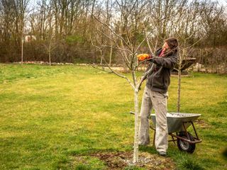 Rasch durch den Garten