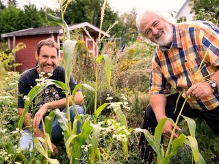 Mein leckerer Garten
