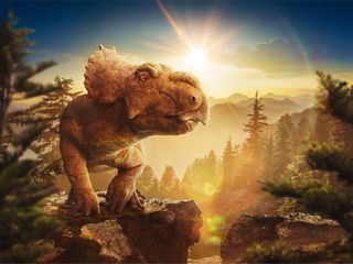 Unter Dinos - Geheimnisse der Urzeit