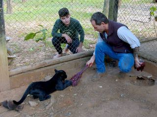 Eine wilde Familie