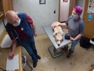 Der unglaubliche Dr. Pol