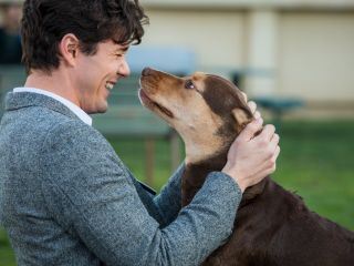 Die unglaublichen Abenteuer von Bella