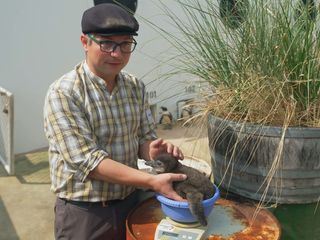 Seeloewe & Co. - tierisch beliebt