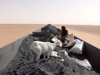 Der Wuestenzug, die Lebensader Mauretaniens