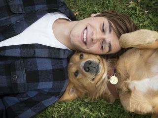 Smisao života jednog psa