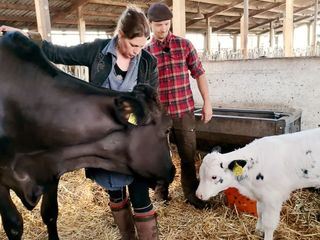 Anna und die Edelrinder