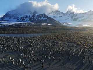 Natur - Die Geschichte unseres Planeten