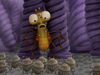 Bienvenue chez les mouches