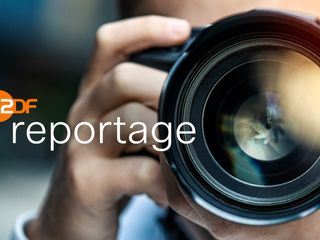 Hollywood in Deutschland