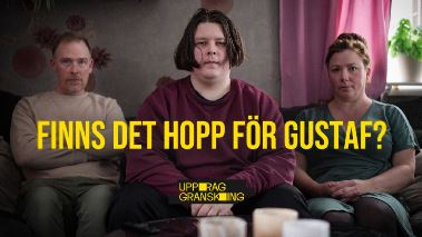 Uppdrag granskning
