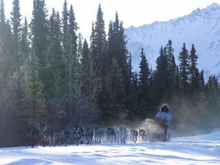 Life Below Zero - Überleben in Alaska