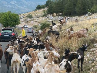 Die Albanischen Alpen