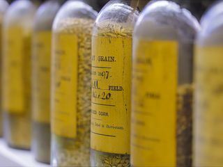 Geschichte des Essens