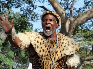 Im Reich der Koenigselefanten - Das Tembe Wildreservat in Suedafrika