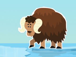 INUI - Abenteuer am Nordpol