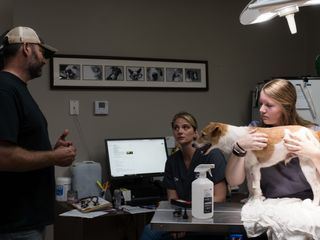 Heartland Docs - Die Tierarzt-Familie