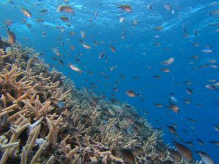 Asiens Ozeane im Wandel