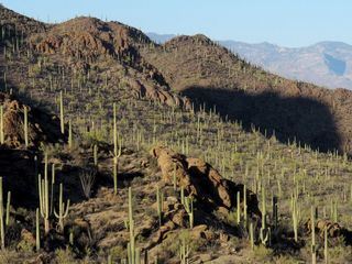 Amerikas Naturwunder