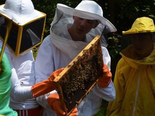 Die Jungs-WG: Sommer. Sonne. Elternfrei.