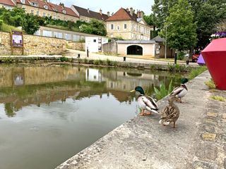 Burgund per Hausboot, da will ich hin!