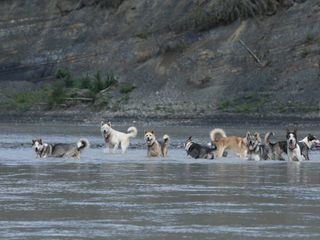 Life Below Zero - Überleben in Alaska