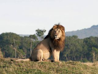 Abenteuer Seidenstrasse