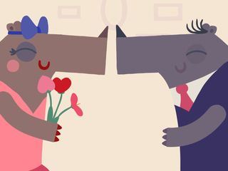 Animanimals