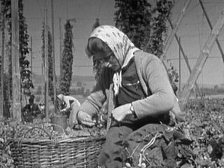 Damals: Rund ums Bier