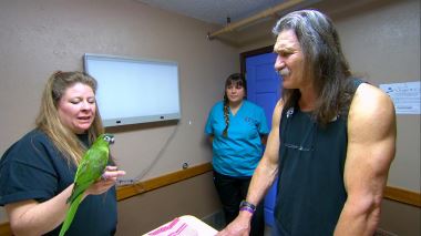 Tierarzt Dr. Jeff - Der Rocky Mountain Doc