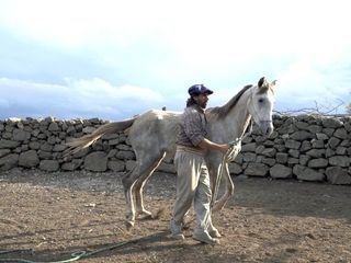 Argentinien, von wilden Pferden und sanfter Hand