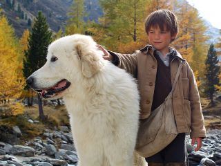 Belle & Sébastien
