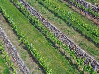 Verborgene Schaetze - die andere Wachau