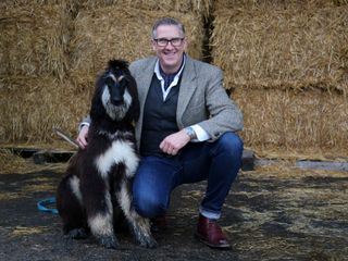 Hunde ausser Kontrolle