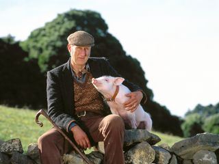 Babe, maialino coraggioso