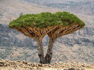 Thomas Junker unterwegs