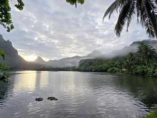 Oasen - Inseln des Lebens