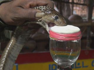 Die haertesten Orte der Welt Die haertesten Orte der Welt