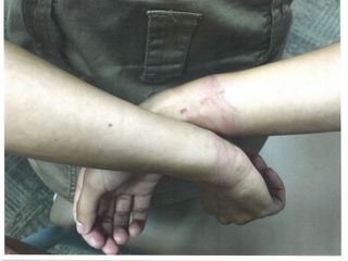 Bloodline Detectives - Die DNA der Taeter