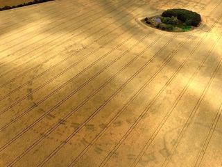 Mysterioese Phaenomene - Raetsel von oben