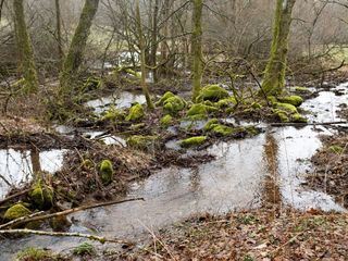 Versteckte Paradiese