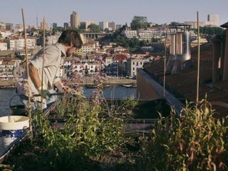 Porto - Petro, der Stadtfarmer